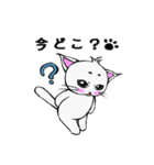 まろまゆ猫様 日常会話編（個別スタンプ：6）