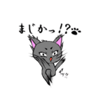 まろまゆ猫様 日常会話編（個別スタンプ：17）