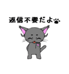 まろまゆ猫様 日常会話編（個別スタンプ：19）