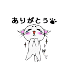 まろまゆ猫様 日常会話編（個別スタンプ：20）