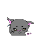 まろまゆ猫様 日常会話編（個別スタンプ：21）