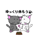 まろまゆ猫様 日常会話編（個別スタンプ：24）