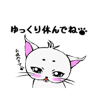 まろまゆ猫様 日常会話編（個別スタンプ：25）