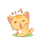 Orange is a cat（個別スタンプ：1）