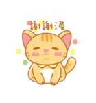 Orange is a cat（個別スタンプ：9）