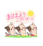 ぶちねこ♪しっぽはハート柄～日常会話編～（個別スタンプ：1）