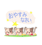 ぶちねこ♪しっぽはハート柄～日常会話編～（個別スタンプ：8）