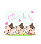 ぶちねこ♪しっぽはハート柄～日常会話編～（個別スタンプ：13）