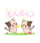 ぶちねこ♪しっぽはハート柄～日常会話編～（個別スタンプ：29）