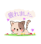 ぶちねこ♪しっぽはハート柄～日常会話編～（個別スタンプ：33）