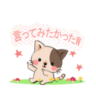 ぶちねこ♪しっぽはハート柄～日常会話編～（個別スタンプ：34）