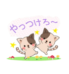 ぶちねこ♪しっぽはハート柄～日常会話編～（個別スタンプ：37）