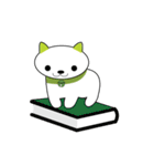 Nekoocha Cat（個別スタンプ：17）