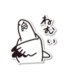 八戸のサメさん うみねこさん（個別スタンプ：24）