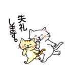 かんたん猫ちゃんスタンプ（個別スタンプ：16）