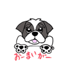 黒白シーズー犬（個別スタンプ：6）