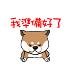 Cute Wasabi（個別スタンプ：1）