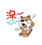 Cute Wasabi（個別スタンプ：2）
