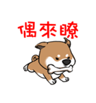 Cute Wasabi（個別スタンプ：3）