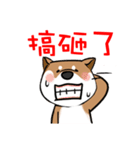 Cute Wasabi（個別スタンプ：5）