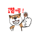 Cute Wasabi（個別スタンプ：6）