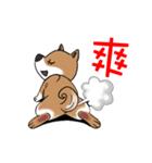 Cute Wasabi（個別スタンプ：11）