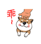 Cute Wasabi（個別スタンプ：13）