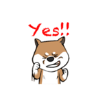 Cute Wasabi（個別スタンプ：14）