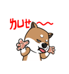 Cute Wasabi（個別スタンプ：17）