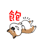 Cute Wasabi（個別スタンプ：21）