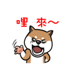 Cute Wasabi（個別スタンプ：26）