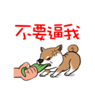 Cute Wasabi（個別スタンプ：30）