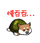 Cute Wasabi（個別スタンプ：33）