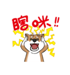 Cute Wasabi（個別スタンプ：36）