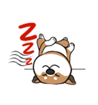 Cute Wasabi（個別スタンプ：37）