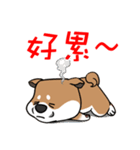 Cute Wasabi（個別スタンプ：38）