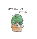 かたことサボテン（個別スタンプ：5）