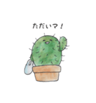 かたことサボテン（個別スタンプ：6）