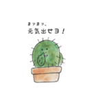 かたことサボテン（個別スタンプ：16）