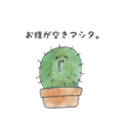 かたことサボテン（個別スタンプ：24）