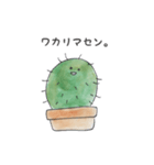 かたことサボテン（個別スタンプ：25）