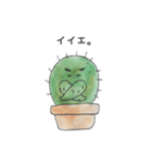 かたことサボテン（個別スタンプ：27）