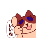 かまいたく なるねこ（個別スタンプ：12）