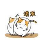 San-Gi cats 3（個別スタンプ：8）