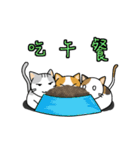 San-Gi cats 3（個別スタンプ：18）