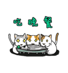 San-Gi cats 3（個別スタンプ：19）