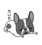 Half Sugar without ice frenchbulldog 2（個別スタンプ：10）