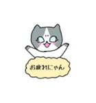 まろニャン（個別スタンプ：1）