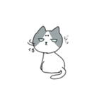 まろニャン（個別スタンプ：4）