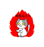 まろニャン（個別スタンプ：17）